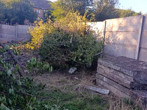 ділянка за адресою Байди Вишневецького вул. (Калінінградська), 36