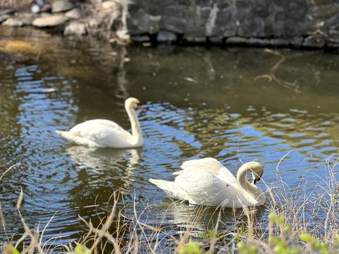 квартира по адресу Вышгородская ул., 45/13
