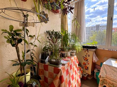 квартира за адресою Івана Миколайчука вул., 16
