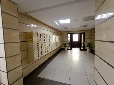 квартира за адресою Сім'ї Кульженків вул. (Петра Дегтяренка), 31-А