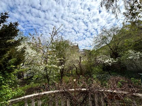 квартира по адресу Кука ул. (Жуковского), 11