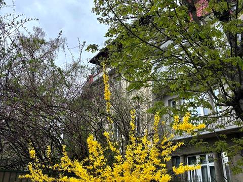 квартира по адресу Кука ул. (Жуковского), 11