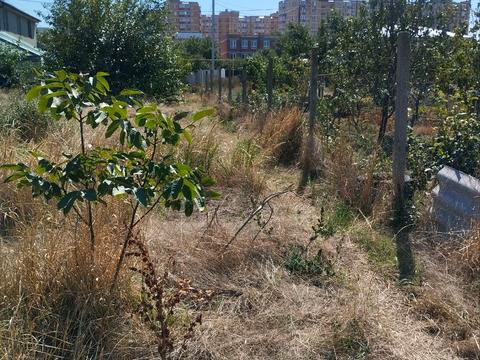 ділянка за адресою Шкільна вул., 26