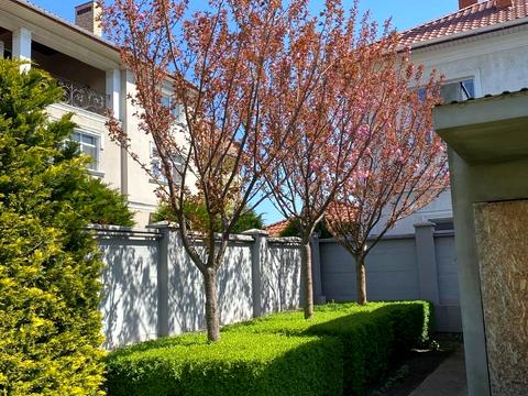 будинок за адресою Незалежністі