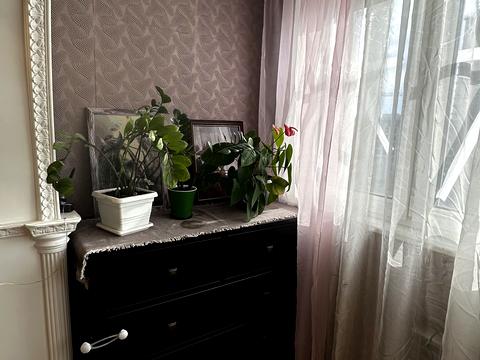 квартира по адресу Краснова ул., 12