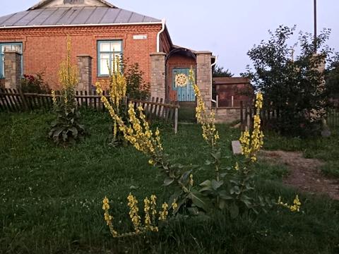 будинок за адресою Набережна, 79