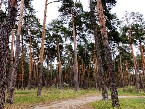 будинок за адресою Київська вул., 114