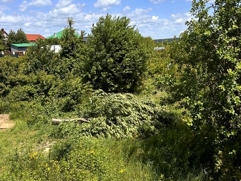 будинок за адресою Степана Бандери, 1