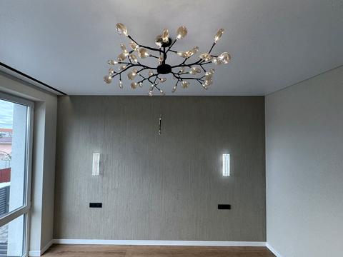 будинок за адресою с. Петропавлівська Борщагівка, Черкаська вул.