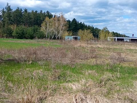 ділянка за адресою Зоряна