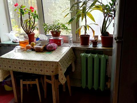 кімната за адресою Кубанської України вул. (Маршала Жукова), 21