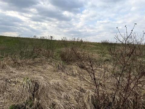 участок по адресу франка