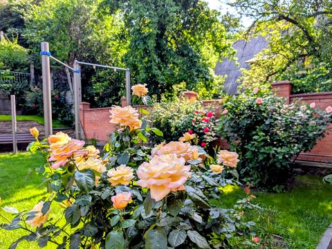 будинок за адресою Ломаківська вул. (Мічуріна)