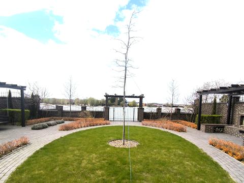 дом по адресу Мрія