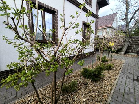 дом по адресу Мрія