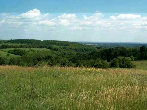 участок по адресу Межигорская ул.