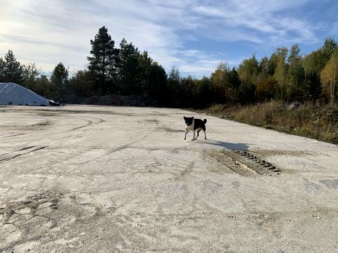 комерційна за адресою Славути, 1