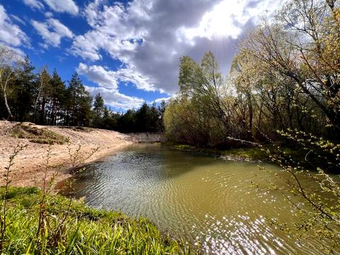 дом по адресу Чернигов, Подусовская ул. (Арсенальцев)