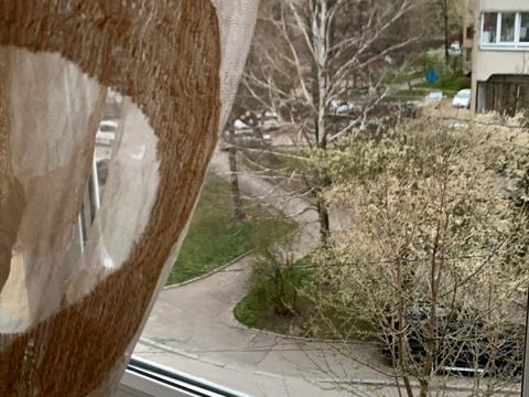 квартира за адресою Гетьмана Павла Полуботка вул., 23