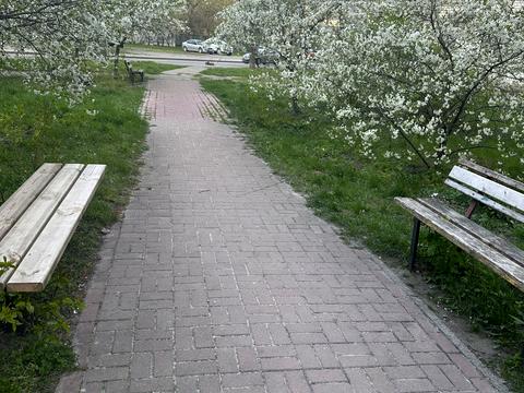 квартира за адресою Байди-Вишневецького вул. (Осиповського), 3-А