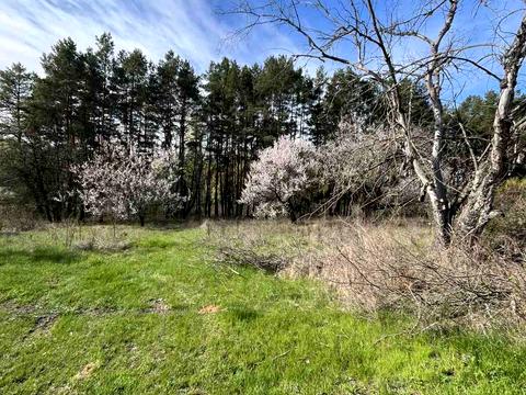 дом по адресу Оксамитова