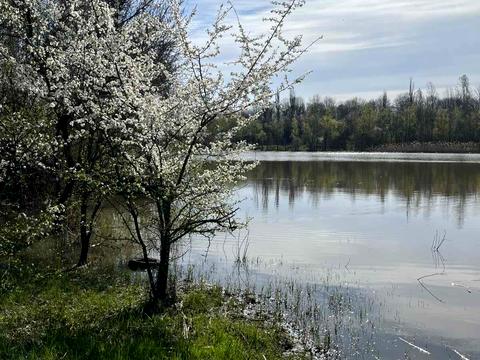 дом по адресу Оксамитова
