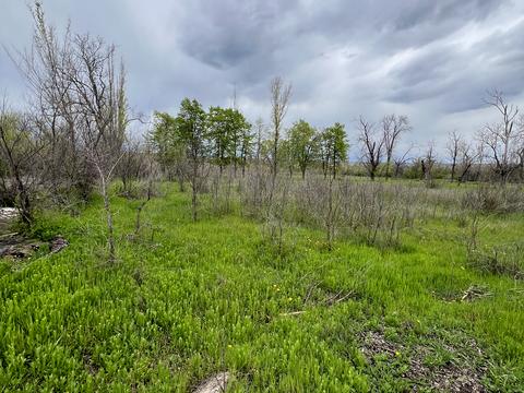 ділянка за адресою Старовокзальна вул. (Урицького)