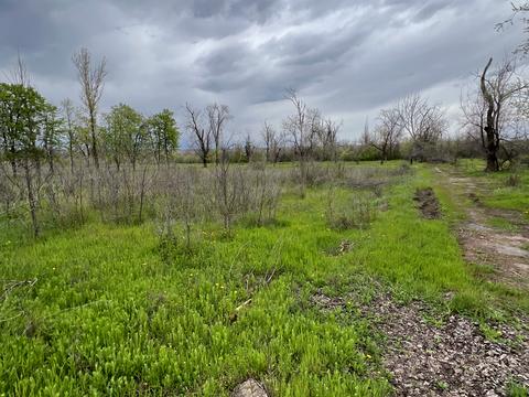 ділянка за адресою Старовокзальна вул. (Урицького)
