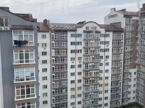 квартира за адресою Височана вул., 18 к40