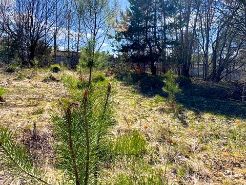 ділянка за адресою 