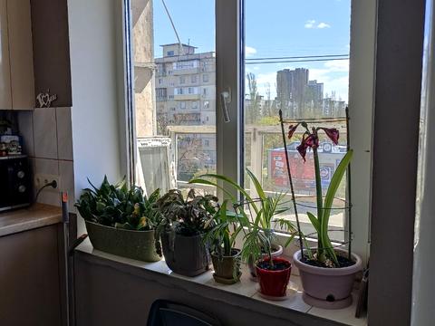 квартира за адресою Ореста Левицького вул. (Академіка Курчатова), 3