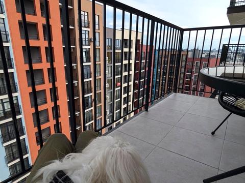 квартира по адресу Тараса Шевченко ул., 60/17