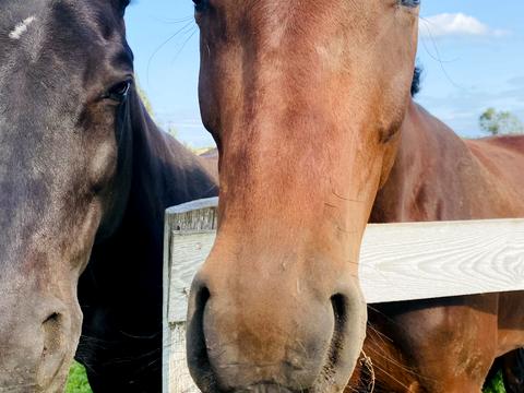 дом по адресу Митна