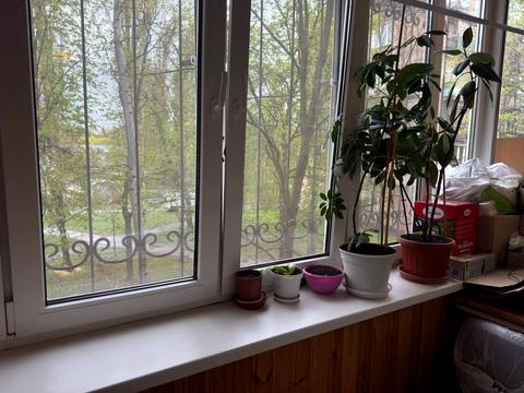 квартира за адресою Ружинська вул. (Вільгельма Піка), 3