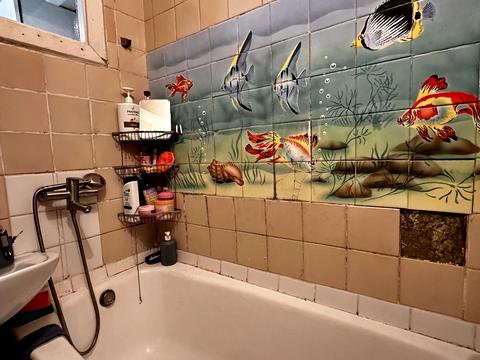 квартира за адресою Раїси Окіпної вул., 7