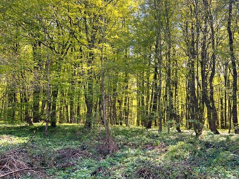 будинок за адресою Будівельників