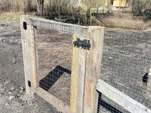 ділянка за адресою с. Богданівка, 