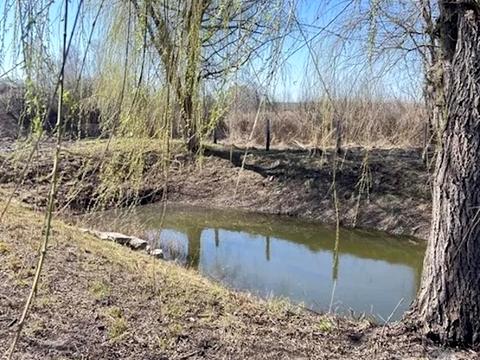 ділянка за адресою с. Богданівка, 