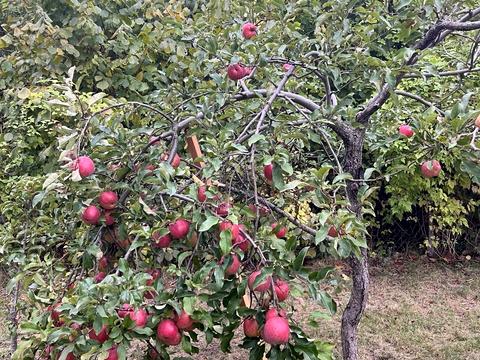 дом по адресу Незалежності ул.
