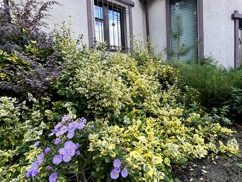 будинок за адресою Незалежності вул.