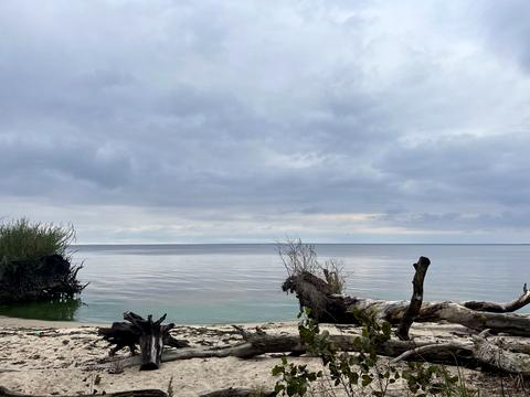 дом по адресу Незалежності ул.