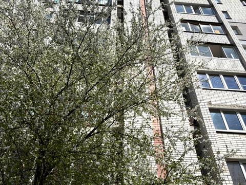 квартира за адресою Мартина Небаби вул. (Боженка), 102
