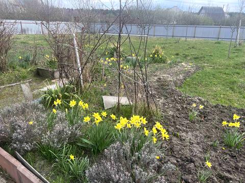 будинок за адресою с. Барашівка, Сонячна