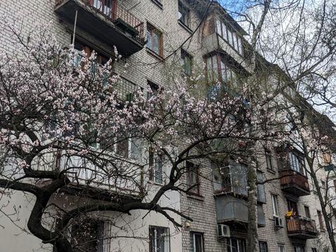 квартира за адресою Юрія Пасхаліна вул. (Ілліча), 9