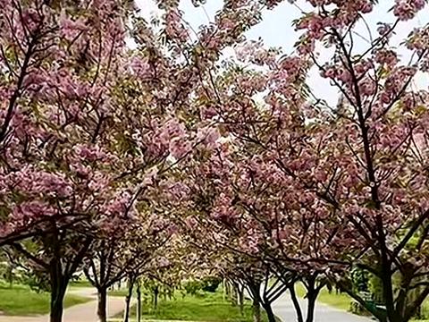 квартира по адресу Милютенко ул., 14