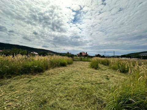 дом по адресу Центральна