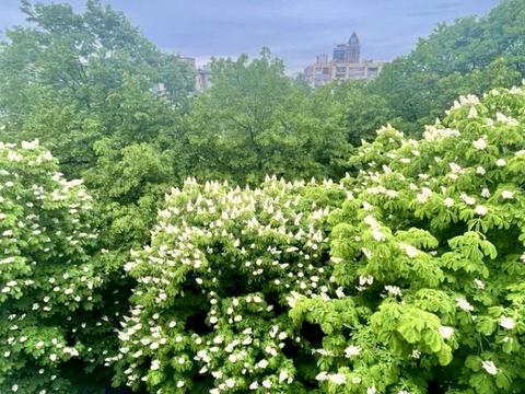 квартира за адресою Лесі Українки бульв., 19