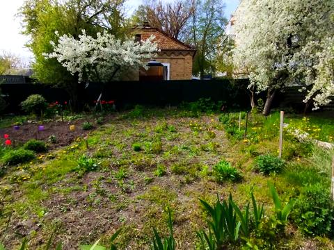 квартира по адресу Гнидавская ул., 38