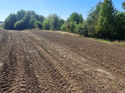 ділянка за адресою 