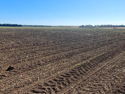 ділянка за адресою 